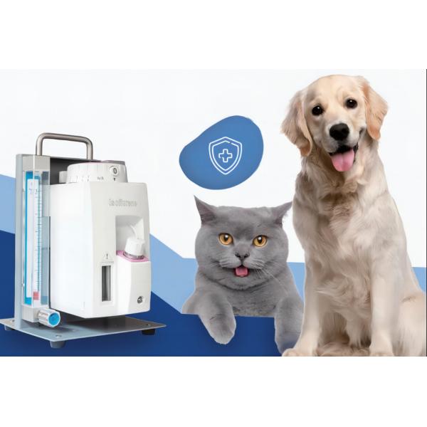 Buy DM6E Veterinary Anesthesia Machine 110V-240V VET anesthesia ventilator at wholesale prices