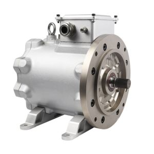 China 71.6Nm 90KW 12000RPM Brushless Srpm Motor on sale