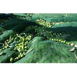 NET FOR OLIVE COLLECTION