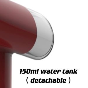 Hand Held Clothing Ironing Machine Mini Garment Steamer for Household Private