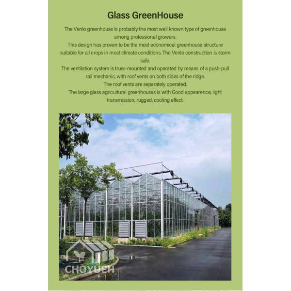 Hot Galvanzied Steel Pipe Agricultural Venlo Glasshouse Turnkey Project