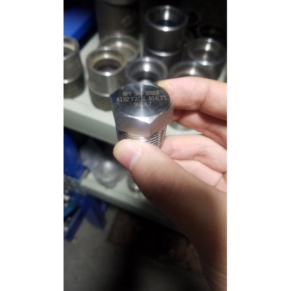 ASME B16.11 1/4"-4" stainless steel ASTM A182 F316L hex square round head plug