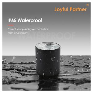 Outdoor Wall Mounted Cylinder Lamp Black LED Downward Column Outdoor Garden Lamp