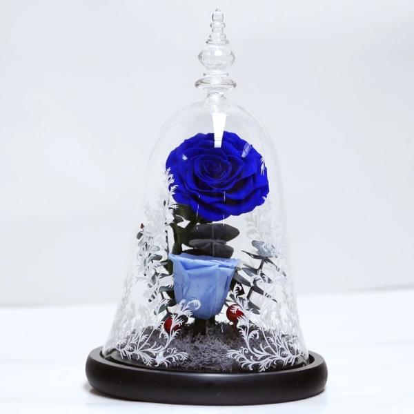 Beauty and the beast roses valentines day real preserved rose in glass that lasting 3 years