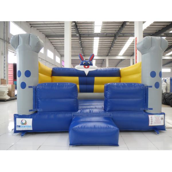 Bottom Price Animal Theme Inflatable Bouncer for Sale Kids Inflatable Jumping Castle