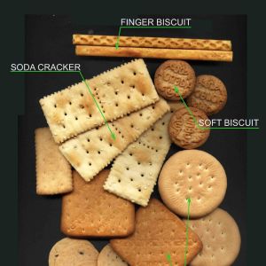 Touch Screen Control 600mm Food Bakery Equipment For Biscuits