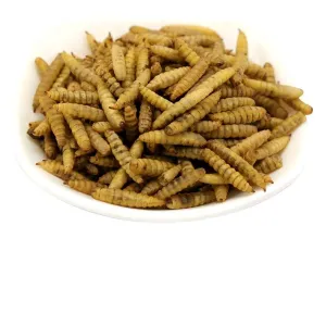 Quality High Protein Dried Black Soldier Fly Larvae with Nutritional Value for sale