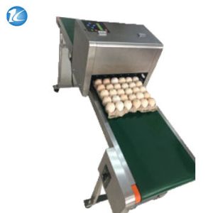 Quality Professional Egg Breeding Machine Date Coding Machine One Year Warranty for sale