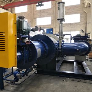 Rendering Hydrolysis Machine Feather Hydrlyzer With Competitive Price