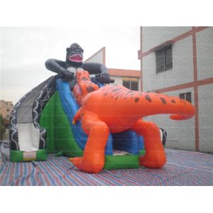 Amazing Dinosaur Inflatable Slide (CYSL-08)