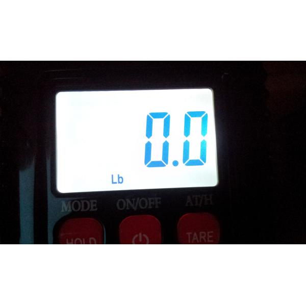 Mini Crane Scale 300kg / 660lbs Industrial Hook With 2 * AAA Batteries Power