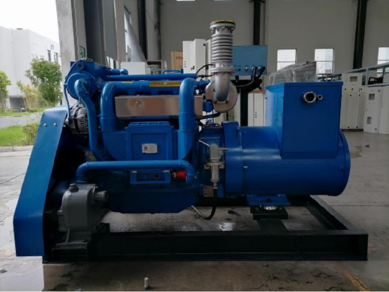 Weichai X6170 P11 fuel injection pump 1002376848 genuine parts