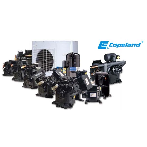 BFS51 Reliable Cold Room Semi-hermetic Compressor Condensing Unit Cold Storage Refrigeration Unit Easy to Operate