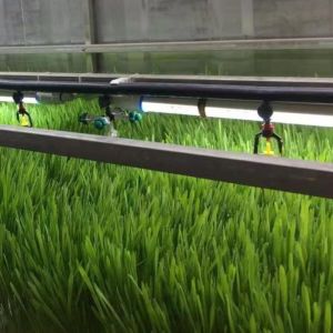 Indoor Hydroponics Commercial Microgreen Growing System with JX-Container