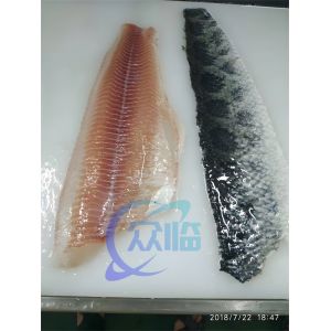 Restaurant Tilapia Fish Skinning Machine Multipurpose Anti Erosion