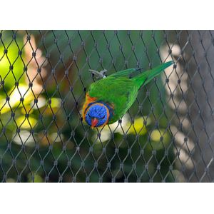 Protection Parrot Aviary Mesh Environmental Enclosure Rust Resistant