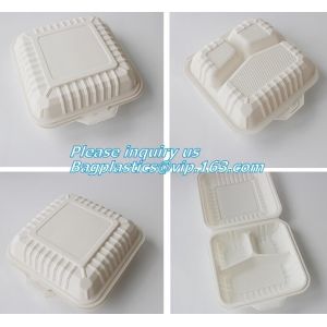 100% Biodegradable sugarcane pulp Lunch disposable Box bagasse food container