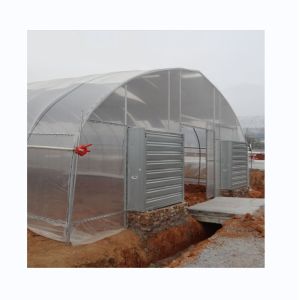 China Cooling System Single Span Agricultural Greenhouses For Tomato Agriculture on sale