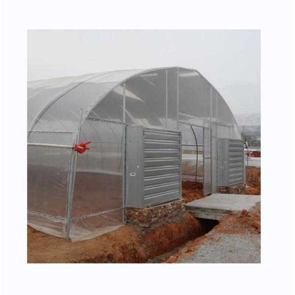 Buy Cooling System Single Span Agricultural Greenhouses For Tomato Agriculture at wholesale prices