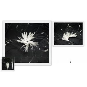 15*30 cm Stripped Goose Feather Flower Mount with Wire Accessory