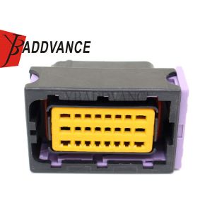24 Way Female Sealed FCI Automotive Connectors With Terminals 211PC249S0005