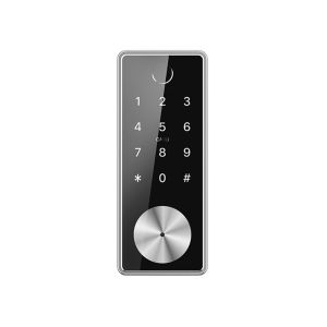 American Standard Bluetooth Door Lock Data Entry Work For Home Use