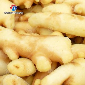 Leaves Vegetables Onions Leafy vegetables Cabbage varieties Herbs Fruiting