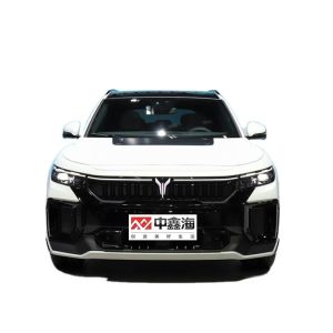 China 2022 Factory Direct Sales High Quality 4 Seats Cheap Electric Adult Car 4 Wheel VOYAH FREE 2022 DNA Design Pure Electric Edition on sale