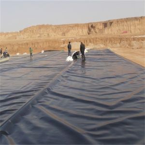 Contemporary Design 0.5mm Fish Pond Liner Geomembrane for Artificial Lake Fish