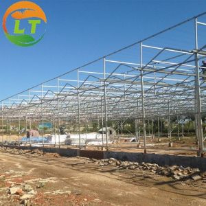 50m Length Glass Greenhouse for Sightseeing Stable Structure and Customizable