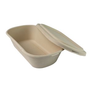 Biodegradable Disposable Sugarcane Bagasse takeaway Containers Box