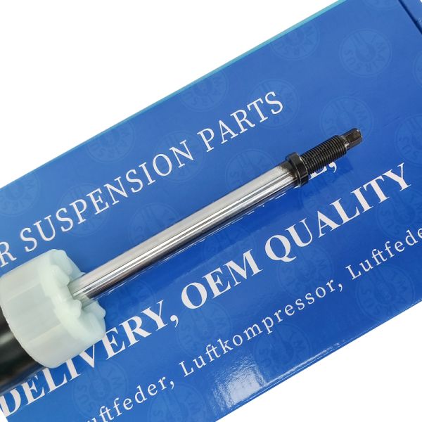 Detailed view of Air Suspension components for Mercedes-Benz W253