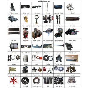 4BTA 3.9 4B 4BT Crankshaft with Gear Engine Parts for Excavator Diesel 3908031