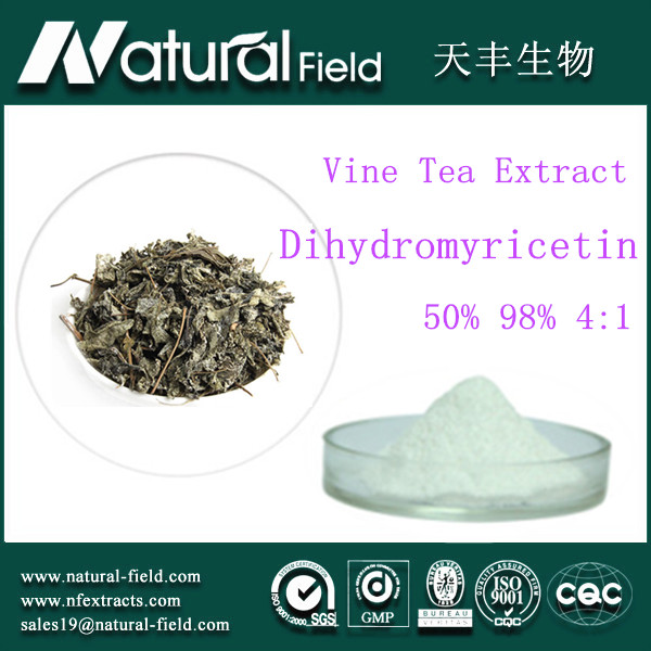 Buy Direct manufacturer Dihydromyricetin Vine Tea Extract Powder at wholesale prices