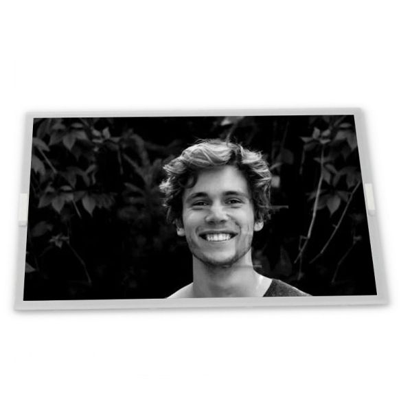 TM050RDZG03-00 Modules High Resolution 5-Inch WLED LCD Display Module 800*480