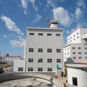 Safe Durable Prefabricated Steel Frame Building Construction Steel Structure