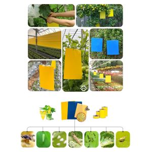 Pest Control Flies Insect Rat Mouse Cockroach Glue Traps Board With Release