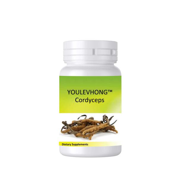 Cordyceps Supplements Healthy Immune Support Promote Normal Vascular Function