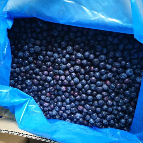 Wholesale Chinese Iqf Frozen Berries IQF Frozen Blueberry for Export with Good Price Blue Berry