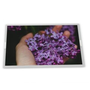 8 inch a-Si TFT-LCD C080EAN06.0 online one-stop shopping rectangular screen lcd