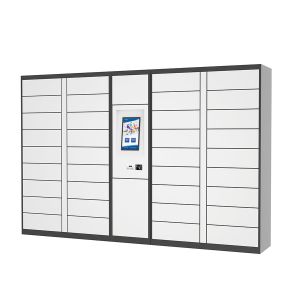 Fail-Safe Assurance Touch-Free Security User-Adaptive Parcel Locker With API