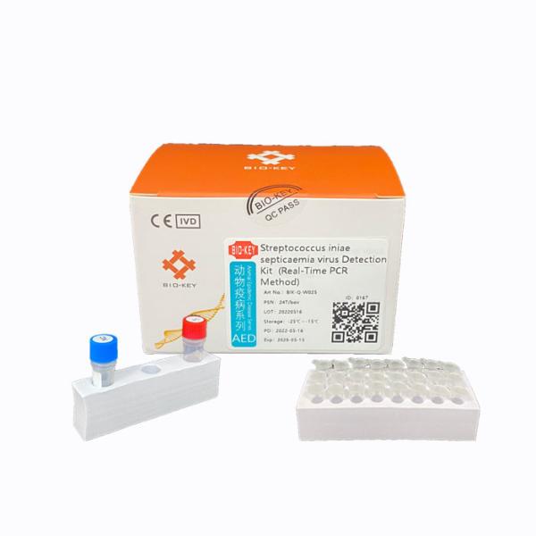 Buy Fluorescent Probe Streptococcus Test Kit Ct38 PCR Aquaculture Kit at wholesale prices