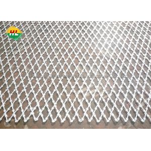 2.8mm Sharp Welded Concertina Razor Wire Fence , Razor Mesh Fence With Firm