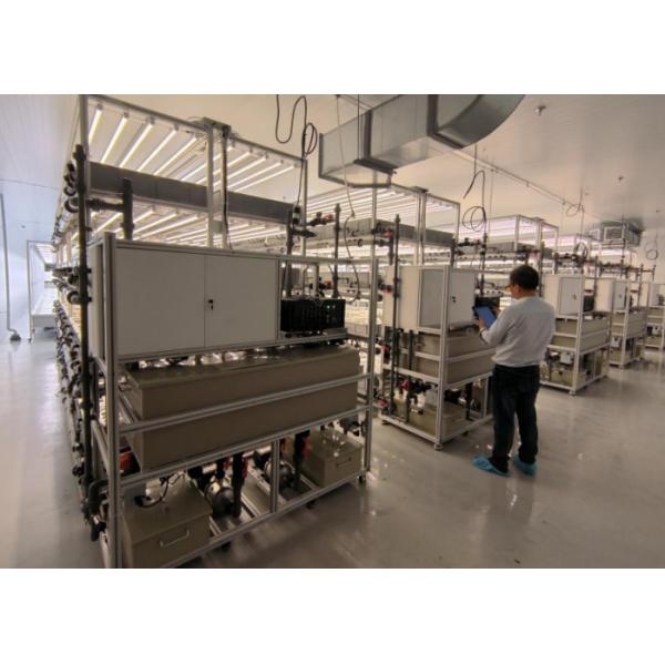 Buy Planting 3 Meter Hydroponic Grow Systems Custom at wholesale prices