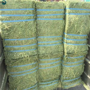 Agriculture PP/ PE Packaging Baler Twine