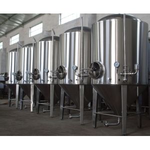 1000L 2000L cone fermenter with cooling jacket FVs, BBT