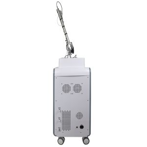 P1 Vertical Picosecond Laser Q Switched Pigmentation Removal Pico Laser Tattoo