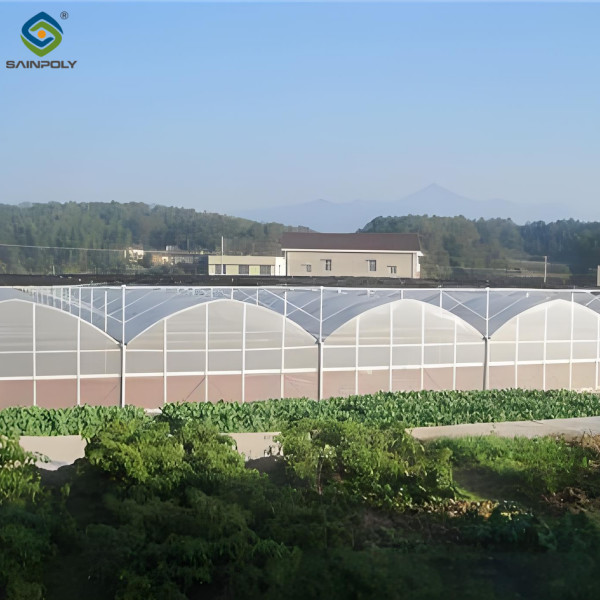 Buy Stable Structure Agricultural Multi Span Greenhouse 30-100m Length at wholesale prices