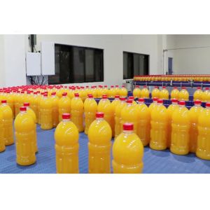 Professional Fruit Juice Production Line Stainless Steel Material