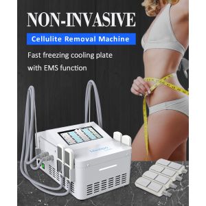 Ems Slimming Machine Cryoplate Body Sculpting Other Beauty Salon Equipment